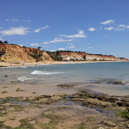 Apartman Olhos De Agua *
